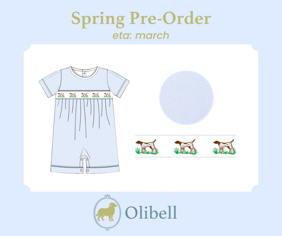 Little Pointer Ribbon Romper