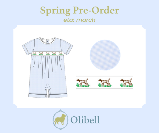 Little Pointer Ribbon Romper